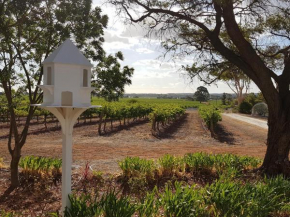 'In The Vines' Guest Cottage, Barossa Valley